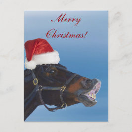 おもしろいな子馬のメリークリスマス シーズンポストカード