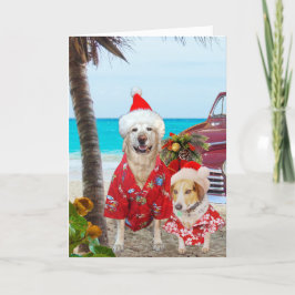 おもしろいな実験室または犬のハワイアンまたはサーファーのクリスマス シーズンカード