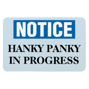 おもしろいな巡航の諸室戸の磁石-ハンカチPanky マグネット