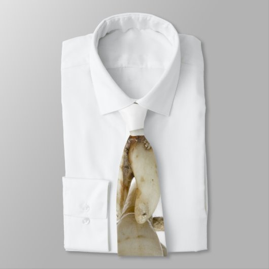 おもしろいな歯科写真撮影によって得られる歯の歯科医 ネクタイ (タイ)