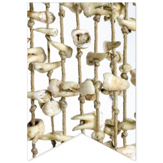 おもしろいな歯科写真撮影によって得られる歯の歯科医 バンティングフラッグ (第2の旗)