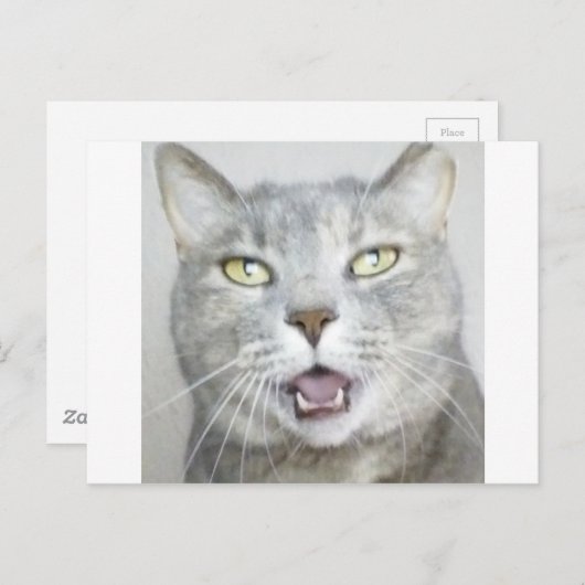おもしろいな灰色猫の柔らかく笑わされるな開いた口の猫の鳴き声 ポストカード (正面/裏面)