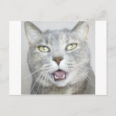 おもしろいな灰色猫の柔らかく笑わされるな開いた口の猫の鳴き声 ポストカード (正面)