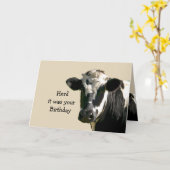 おもしろいな牛ユーモアの誕生日の笑い カード (黄色い花)