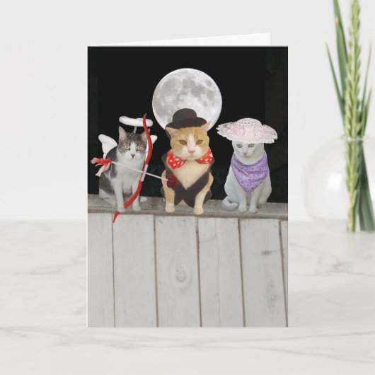 おもしろいな猫か猫ちゃんのバレンタイン シーズンカード (正面)