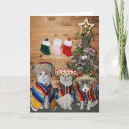 おもしろいな猫か猫ちゃんFeliz Navidad シーズンカード