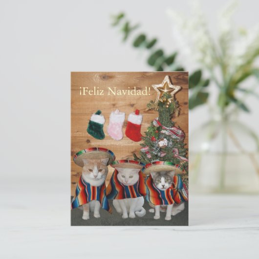 おもしろいな猫か猫ちゃんFeliz Navidad シーズンポストカード (スタンド正面)