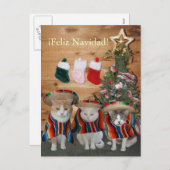 おもしろいな猫か猫ちゃんFeliz Navidad シーズンポストカード (正面/裏面)