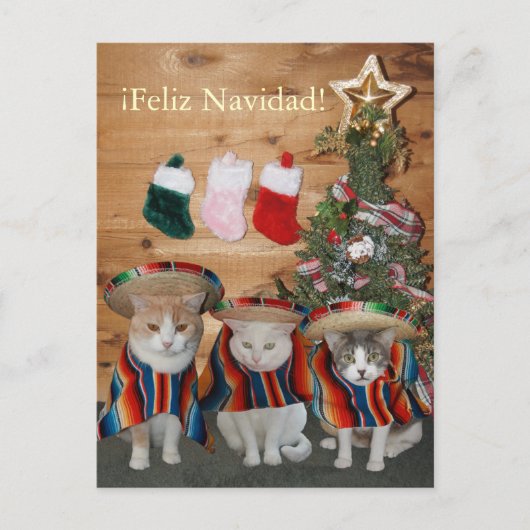 おもしろいな猫か猫ちゃんFeliz Navidad シーズンポストカード (正面)