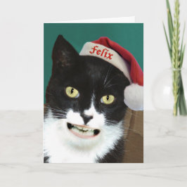 おもしろいな猫のクリスマスカード シーズンカード
