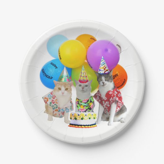 おもしろいな猫の招待状のためのマッチ・プレート ペーパープレート (正面)
