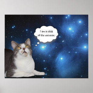おもしろいな猫の星の取締官 ポスター