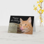 おもしろいな猫の誕生日 カード (黄色い花)