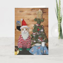おもしろいな猫または子猫のクリスマスの朝 シーズンカード