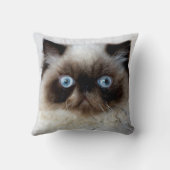 おもしろいな猫 クッション (裏面)