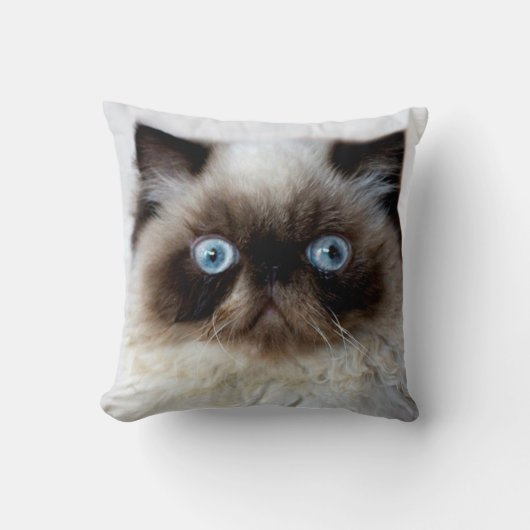 おもしろいな猫 クッション (正面)