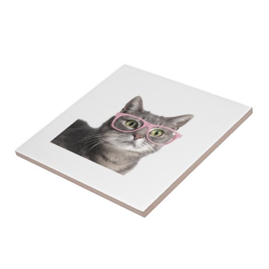 おもしろいな猫 タイル (側面)