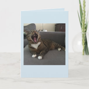 おもしろいな猫、自分自身を隔離するための謝罪カード サンキューカード