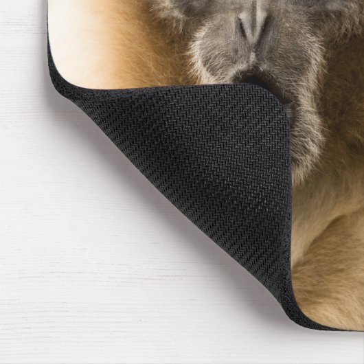 おもしろいな猿の悪い毛日 マウスパッド (コーナー)