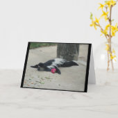 おもしろいな猿の挨拶状 カード (黄色い花)