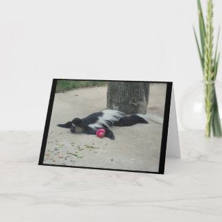 おもしろいな猿の挨拶状 カード