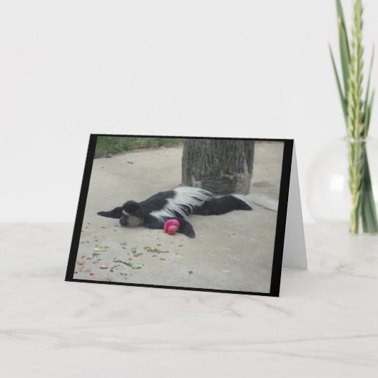 おもしろいな猿の挨拶状 カード (正面)