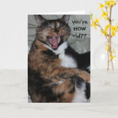 おもしろいな笑う猫、古顔(アンティーク)の誕生日 カード (黄色い花)