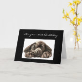 おもしろいな第91誕生日、ラブラドル・レトリーバー犬 カード (黄色い花)