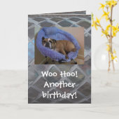 おもしろいな英国のブルドッグのバースデー・カード カード (黄色い花)