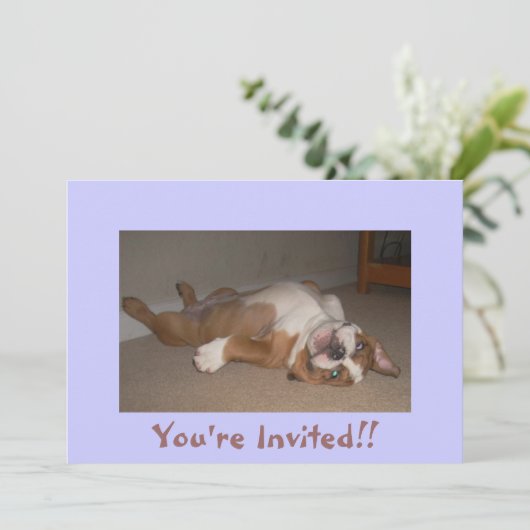 おもしろいな英国のブルドッグの招待状 招待状 (スタンド正面)