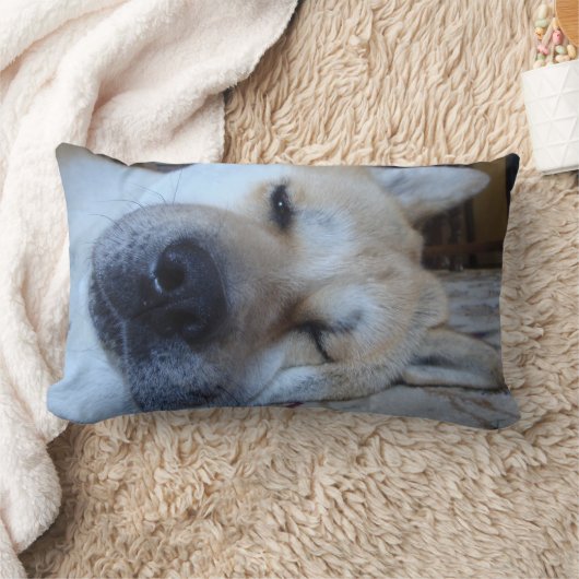 おもしろいな表現と眠っている秋田かわいい犬 ランバークッション (ブランケット)