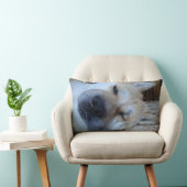 おもしろいな表現と眠っている秋田かわいい犬 ランバークッション (椅子)