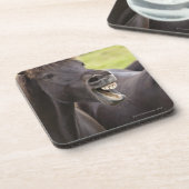 おもしろいな表現のアイスランドの馬 コースター (左側)