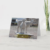 おもしろいな西部のお祝いのヤギ カード (裏面)