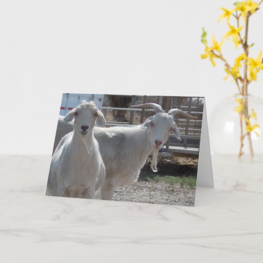 おもしろいな西部のお祝いのヤギ カード (黄色い花)