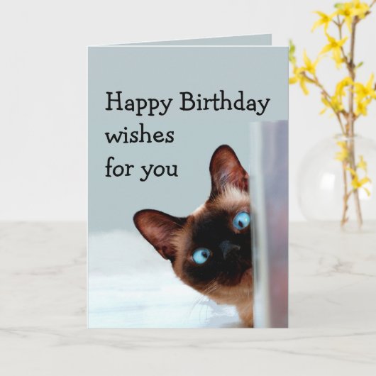 おもしろいな誕生日はシャム猫動物のユーモアを望みます カード (黄色い花)
