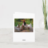 おもしろいな農場構内の鶏及びオンドリのメッセージカード カード (裏面)