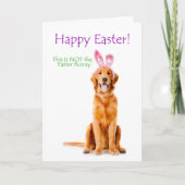 おもしろいな金イースターカード シーズンカード (正面)