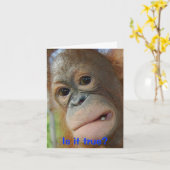 おもしろいな顔の卒業のお祝い カード (黄色い花)