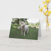 おもしろいな顔 カード (黄色い花)