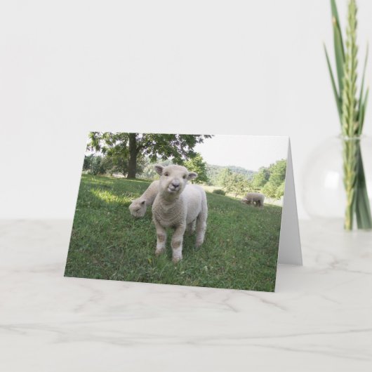 おもしろいな顔 カード (正面)