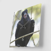 おもしろいな鳴くワタリガラスの野性生物恋人の芸術の時計 スクエア壁時計 (傾斜)