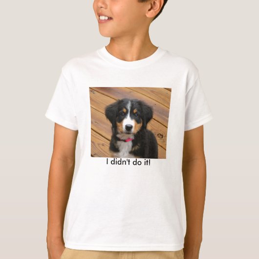おもしろいなBernerはTシャツをからかいます Tシャツ (正面)