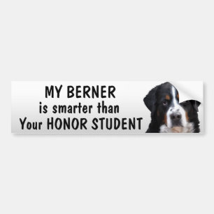 おもしろいなBernese Mt犬-学生より頭が切れるな- バンパーステッカー