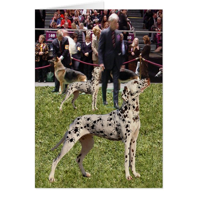 おもしろいなDalmatianショー犬 (正面)