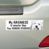 おもしろいなHavanese -名誉学生より頭が切れるな- バンパーステッカー (車上)