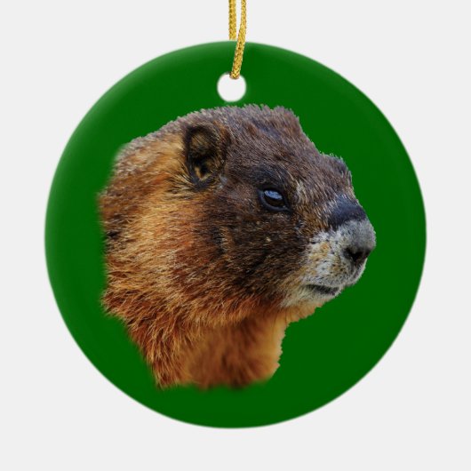 おもしろいなmarmot セラミックオーナメント (正面)