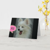 おもしろいなPomのこんにちは挨拶状 カード (黄色い花)