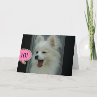 おもしろいなPomのこんにちは挨拶状 カード