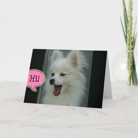 おもしろいなPomのこんにちは挨拶状 カード (正面)
